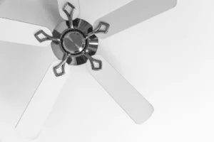 Ceiling Fan